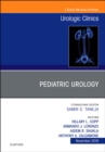 Image for Pediatric Urology, An Issue of Urologic Clinics