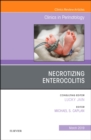 Image for Necrotizing enterocolitis, an issue of clinics in perinatology : Volume 46-1