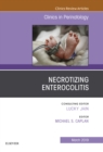 Image for Necrotizing Enterocolitis, An Issue of Clinics in Perinatology, Ebook