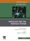 Image for Vasculitis and the nervous system