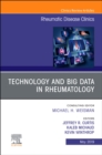 Image for Technology and Big Data in Rheumatology , An Issue of Rheumatic Disease Clinics of North America