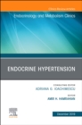 Image for Endocrine Hypertension,An Issue of Endocrinology and Metabolism Clinics : Volume 48-4