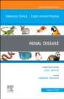 Image for Renal Disease, An Issue of Veterinary Clinics of North America: Exotic Animal Practice : Volume 23-1