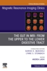 Image for MR Imaging of the Bowel, An Issue of Magnetic Resonance Imaging Clinics of North America, E-Book