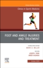Image for Foot and ankle injuries and treatment : Volume 39-4