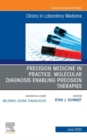 Image for Precision Medicine in Practice: Molecular Diagnosis Enabling Precision Therapies, An Issue of the Clinics in Laboratory Medicine, EBook