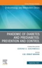 Image for Pandemic of Diabetes and Prediabetes: Prevention and Control, An Issue of Endocrinology and Metabolism Clinics of North America, EBook