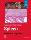 Image for Diagnostic Pathology: Spleen