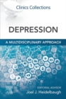 Image for Depression: a multidisciplinary approach