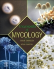 Image for Encyclopedia of mycology