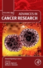 Image for Stromal signaling in cancer : Volume 154
