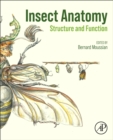 Image for Insect Anatomy