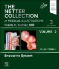 Image for The Netter Collection of Medical Illustrations: Endocrine System, Volume 2