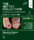 Image for The Netter Collection of Medical Illustrations: Digestive System, Volume 9, Part II - Lower Digestive Tract