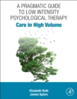 Image for A pragmatic guide to low intensity psychological therapy  : care in high volume