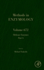 Image for Helicase enzymesPart A : Volume 672