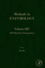 Image for ZIP metal ion transporters