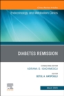 Image for Diabetes Remission, An Issue of Endocrinology and Metabolism Clinics of North America
