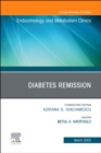 Image for Diabetes Remission