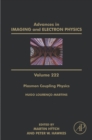 Image for Plasmon Coupling Physics, Wave Effects and Their Study by Electron Spectroscopies