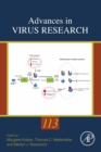 Image for Advances in Virus Research. Volume 113 : Volume 113
