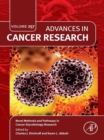 Image for Novel Methods and Pathways in Cancer Glycobiology Research