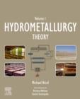 Image for Hydrometallurgy: Theory