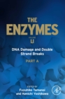 Image for DNA damage and double strand breaks