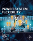 Image for Power System Flexibility
