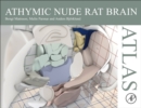 Image for Athymic Nude Rat Brain Atlas