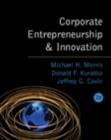 Image for Corporate Entrepreneurship and Innovation