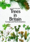 Image for Trees in Britain, Europe and North America