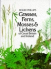 Image for Grasses, Ferns, Mosses and Lichens of Great Britain and Ireland