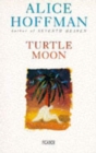 Image for Turtle moon