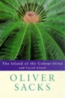 Image for The island of the colour-blind