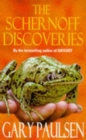 Image for The Schernoff discoveries