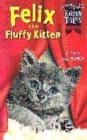 Image for Felix the Fluffy Kitten