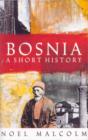 Image for Bosnia  : a short history