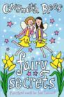 Image for Fairy secrets  : Fairyland could be lost forever!
