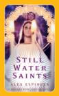 Image for Still Water Saints