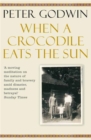 Image for When a crocodile eats the sun  : a memoir