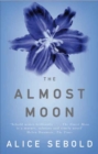Image for The almost moon  : a novel