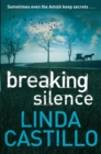 Image for Breaking silence