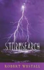 Image for Stormsearch
