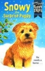 Image for PUPPY TALES 13 SNOWY SUPRISE PUP