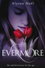 Image for Evermore