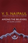 Image for Among the believers  : an Islamic journey