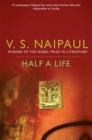 Image for Half a life  : a novel