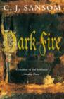 Image for DARK FIRE