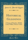 Image for Historical Gleanings: A Series of Sketches, Wiklif, Laud, Wilkes, Horne Tooke (Classic Reprint)